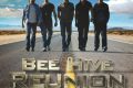 Progressive Italia: i Bee Hive